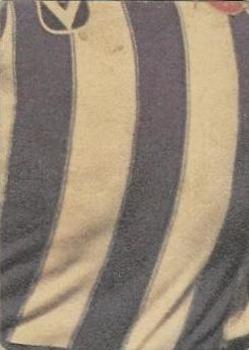 1978 Scanlens VFL #124 Wayne Gordon Back